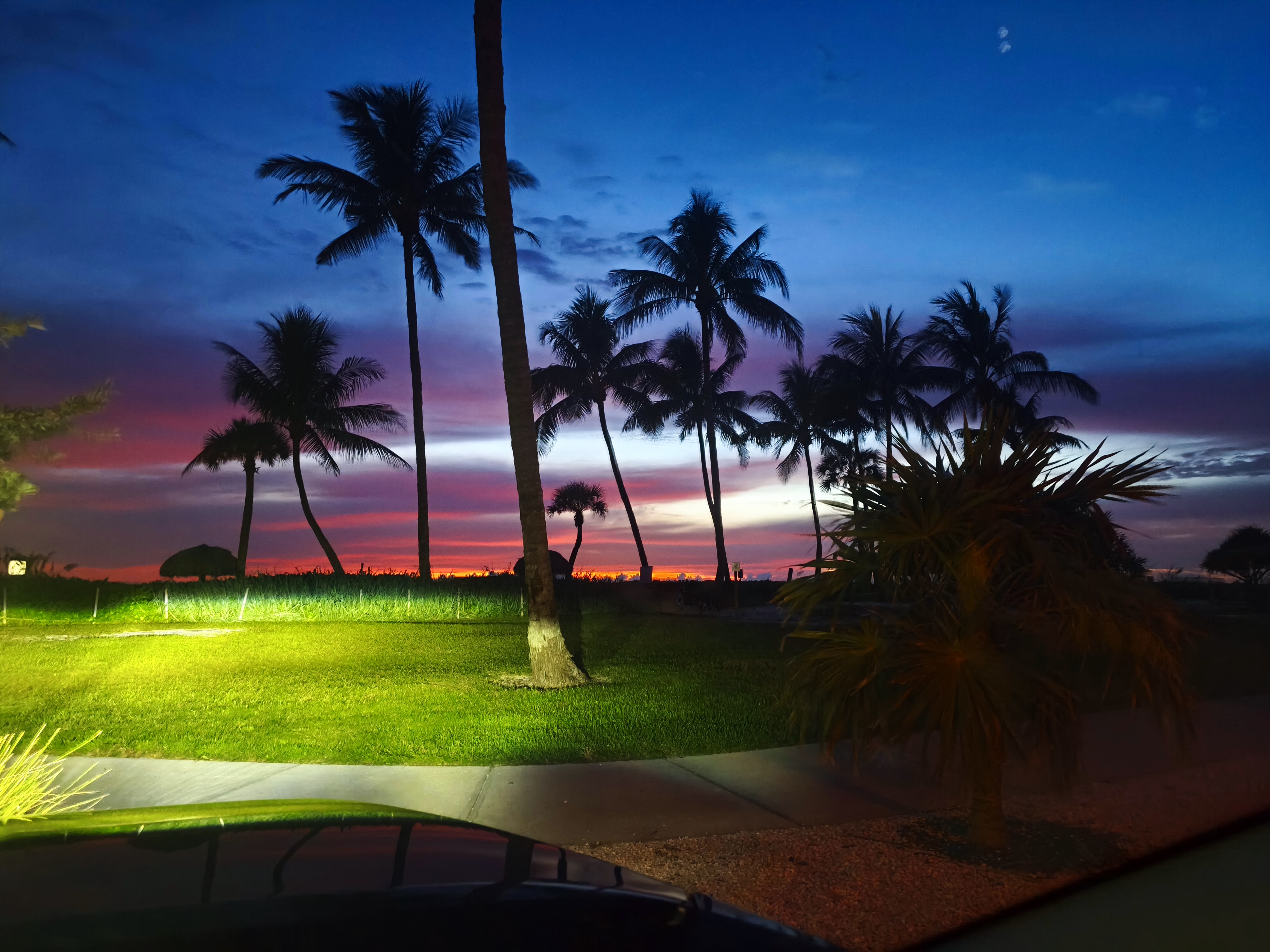 Lowdermilk Park - Picnic lawn area with palm trees near Third Street South
